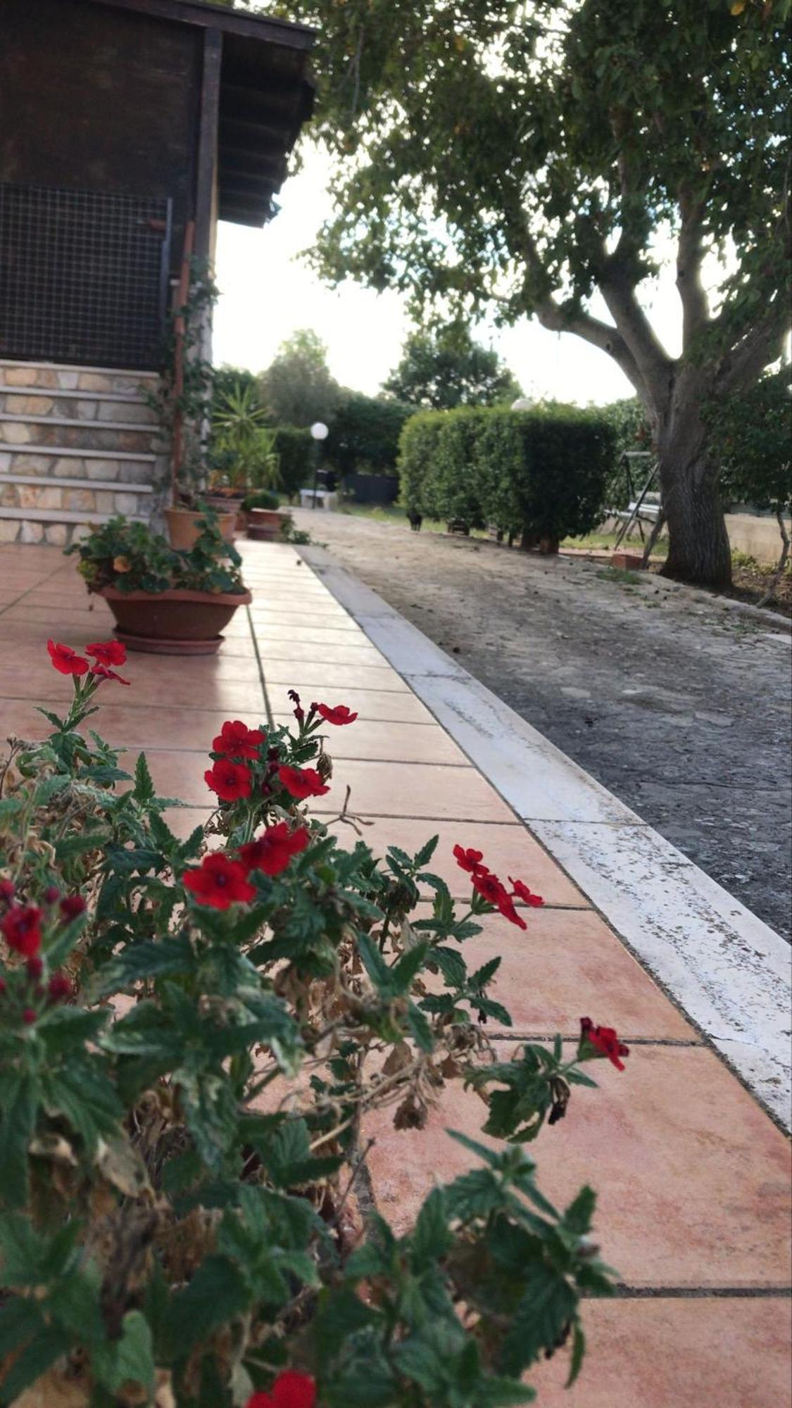 Villa Marida Джоя дел Коле Екстериор снимка