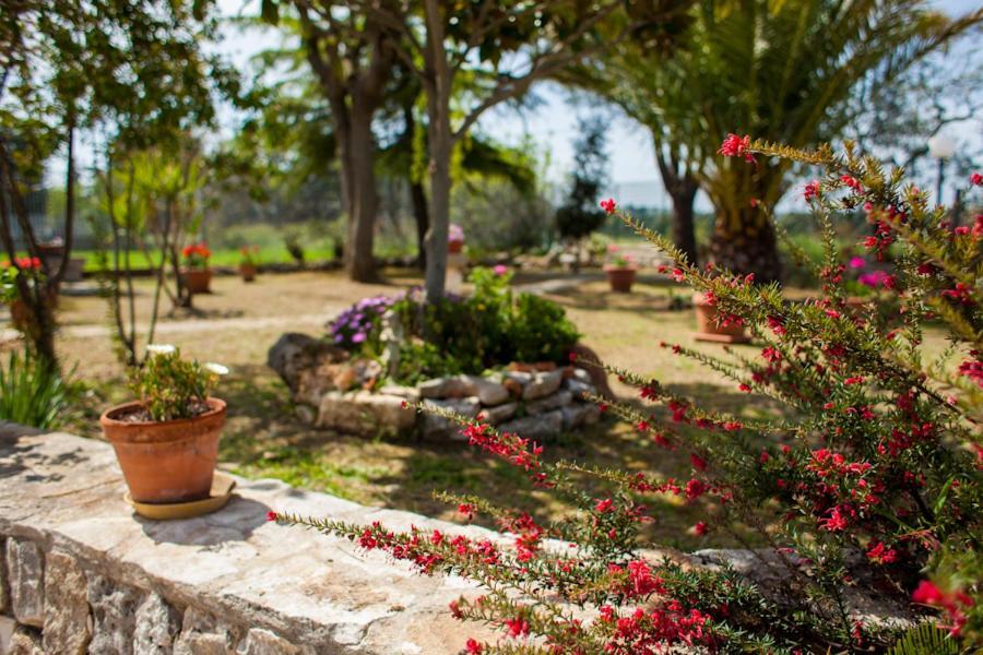 Villa Marida Джоя дел Коле Екстериор снимка