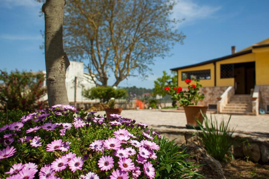 Villa Marida Джоя дел Коле Екстериор снимка